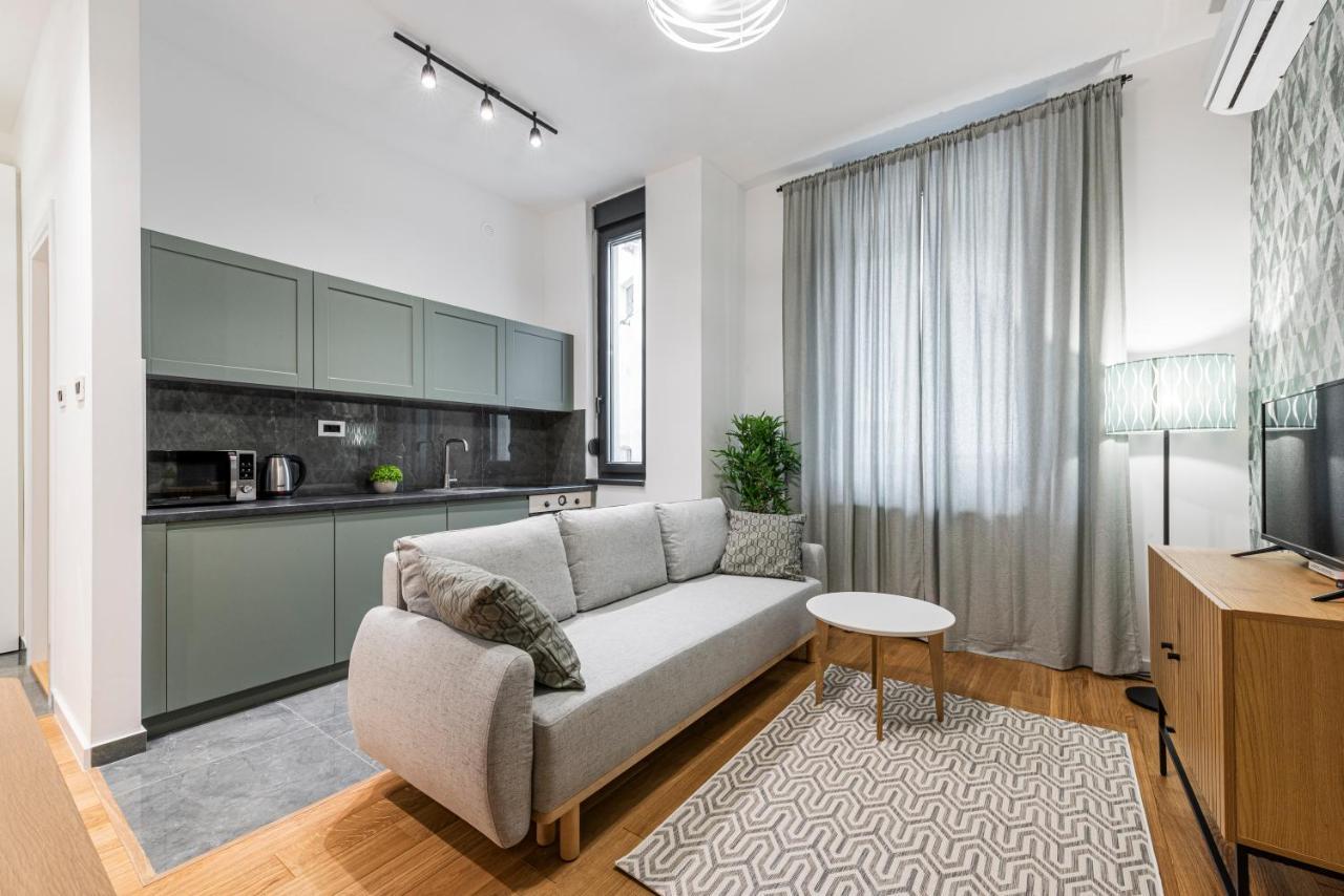 Vertigo One Bedroom Apartment-Free Private Parking 노비사드 외부 사진